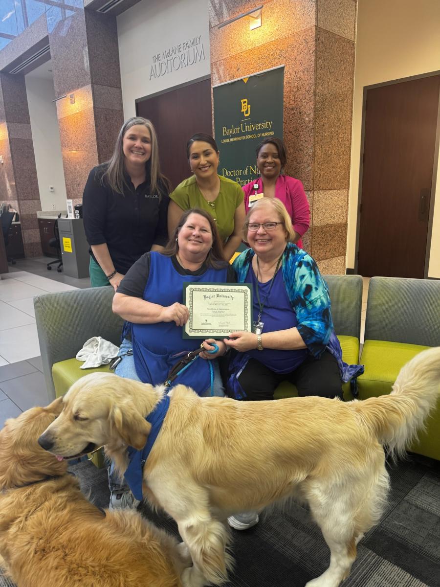 dog therapy